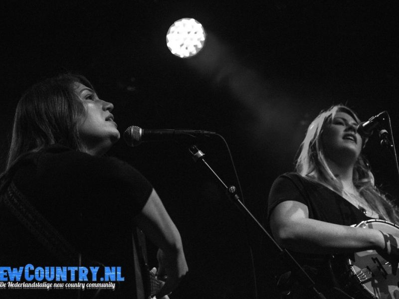 05 The Local Honeys 05 The Local Honeys