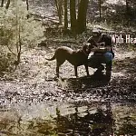 Zach Bryan With Heaven On Top