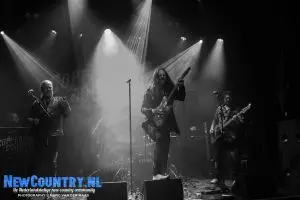 29 Copperhead County